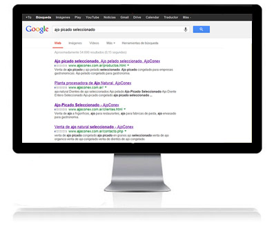 Optimizacion SEO Organico Posicionamiento web