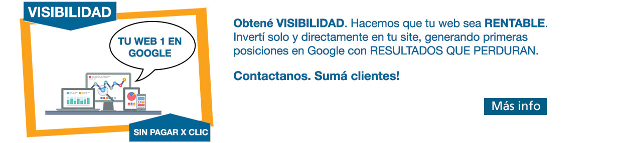 Servicio de Posicionamiento de paginas web en Google SEO web