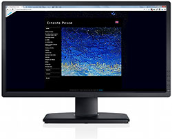 Diseño de pagina web de ernesto pesce